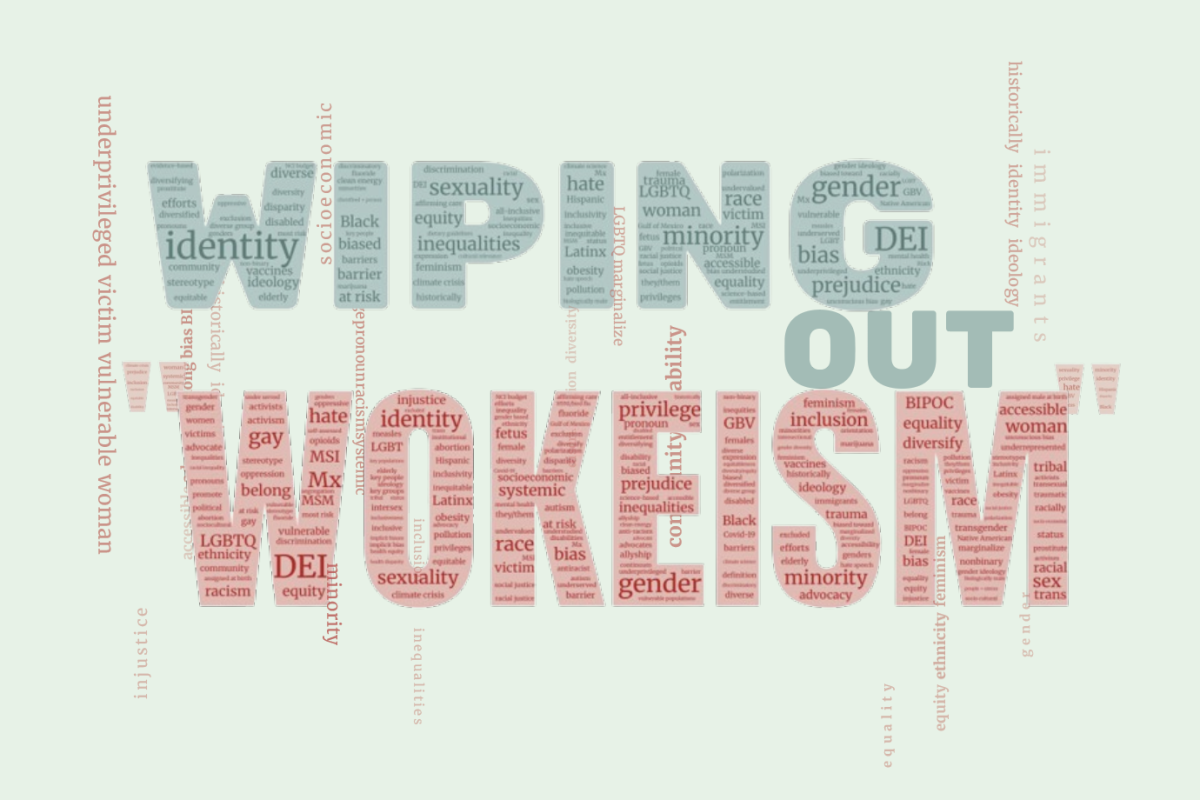 Wiping out “wokeism”